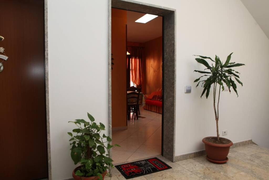 Le Case Di Ciccio - Casa Girasole Apartment Pantelleria Ngoại thất bức ảnh